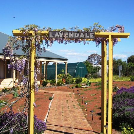 约克Lavendale Country Retreat别墅 外观 照片